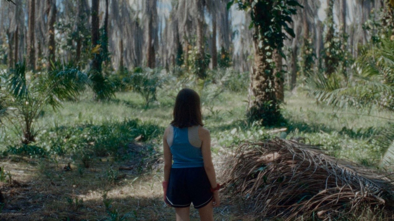 Image du film If We Don't Burn, How Do We Light Up the Night