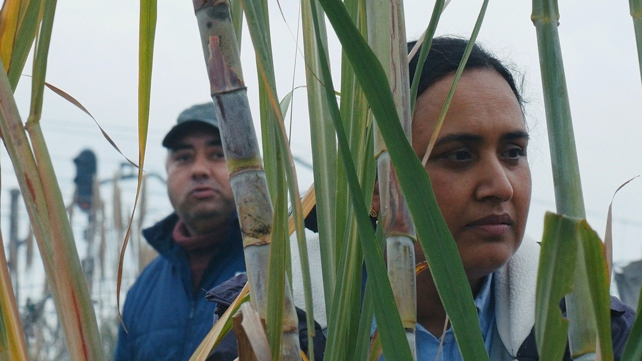 Image du film Histoires de la bonne vallée