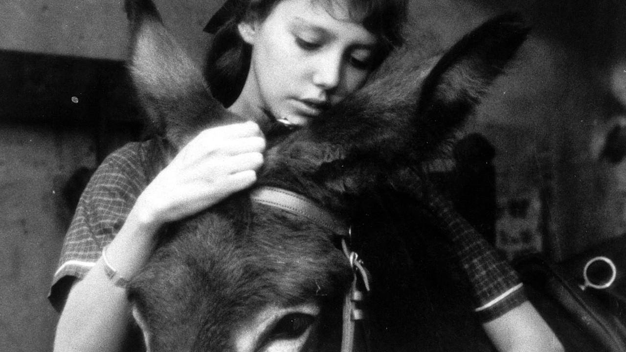 Image du film Au hasard Balthazar