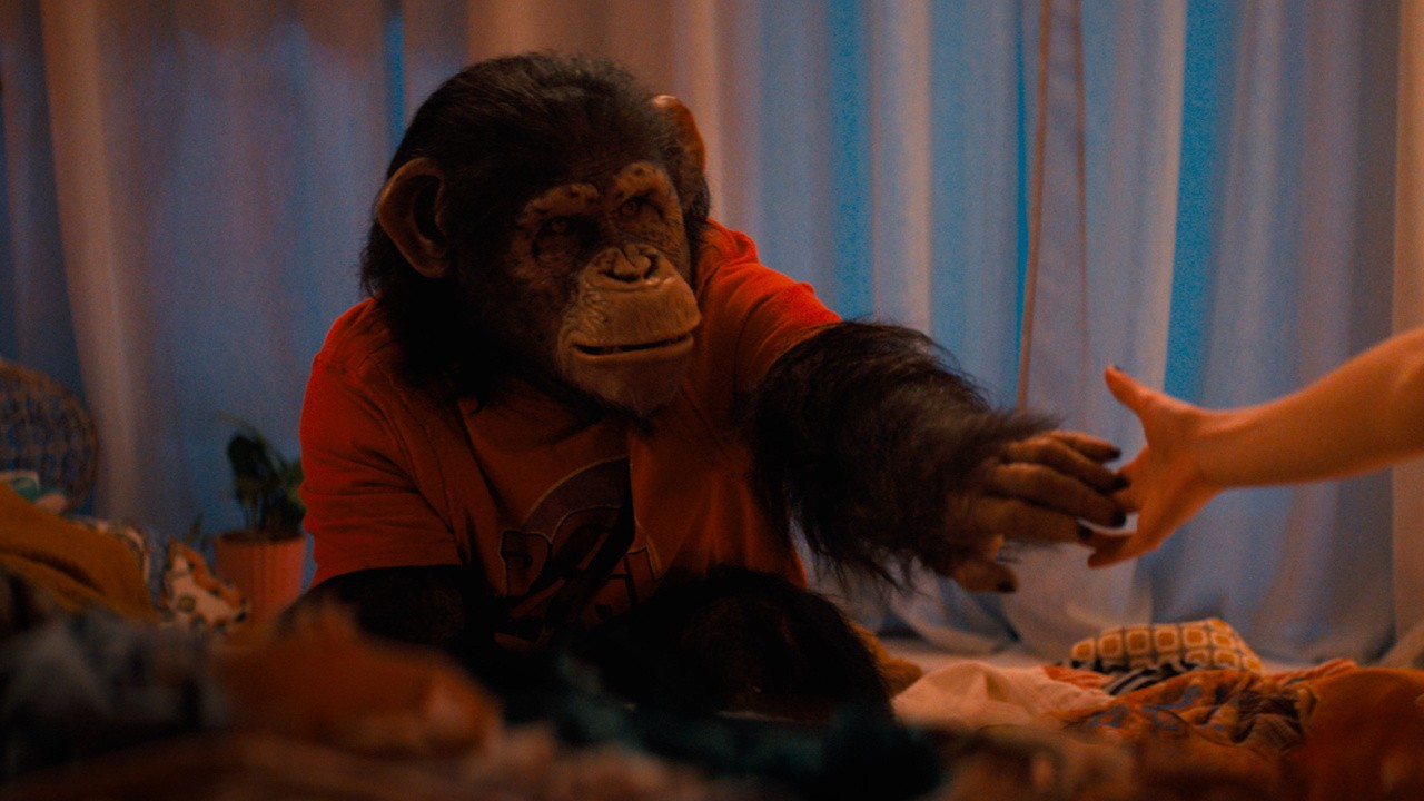 Image du film Primate
