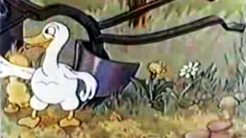 The Silly Goose