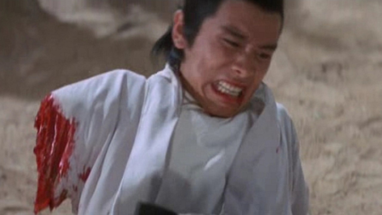 The New One-Armed Swordsman