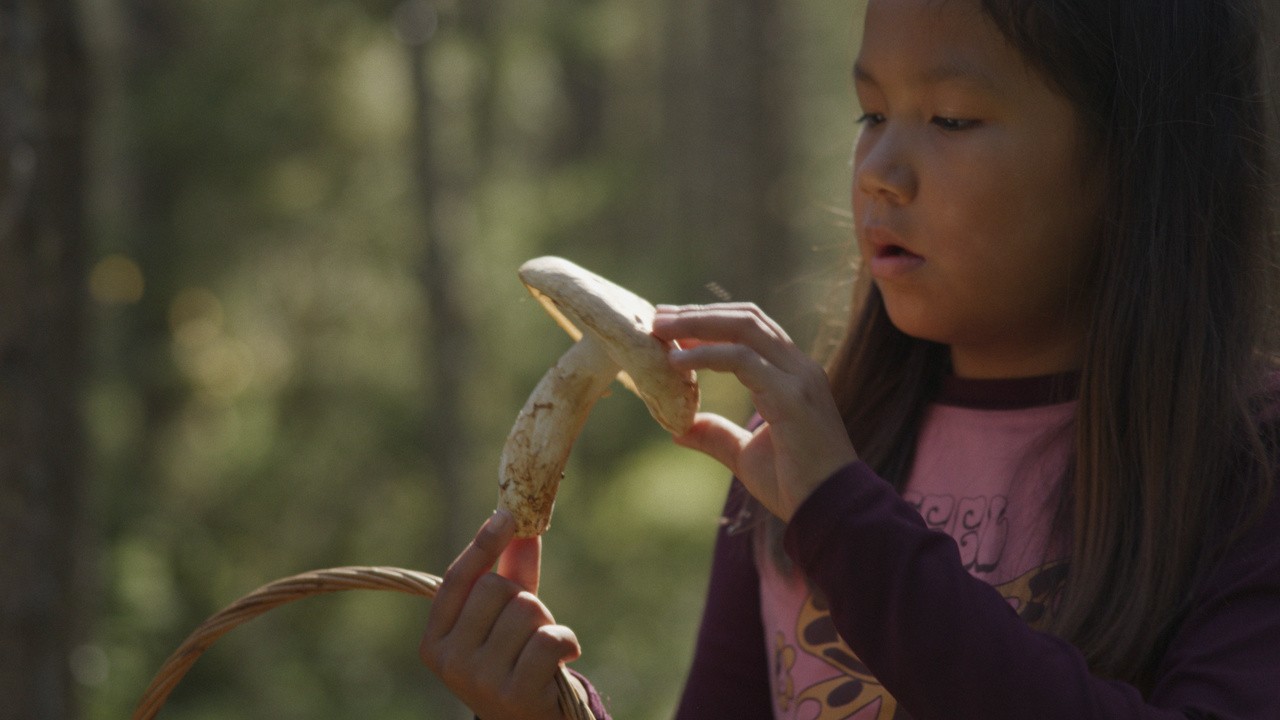 In The Forest 2025 Mubi