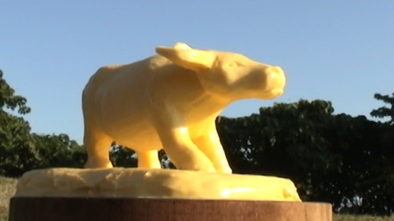 Butter Cow