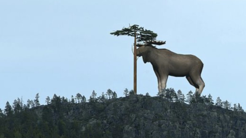 The World's Largest Moose