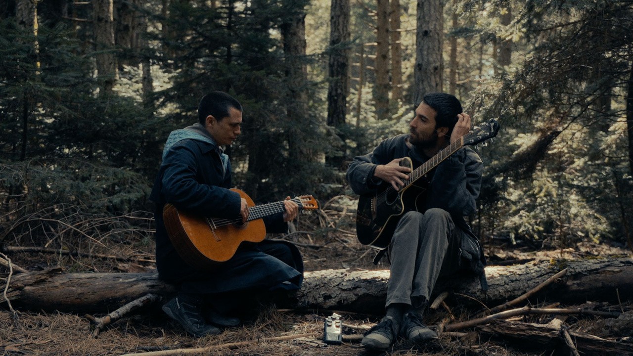 The Anything 2025 Mubi