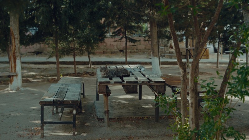 Palaces of Memory