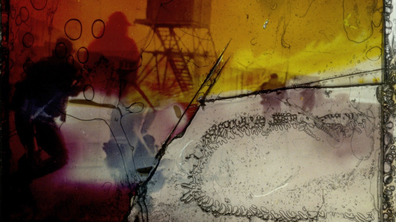 History Will Teach Us Nothing