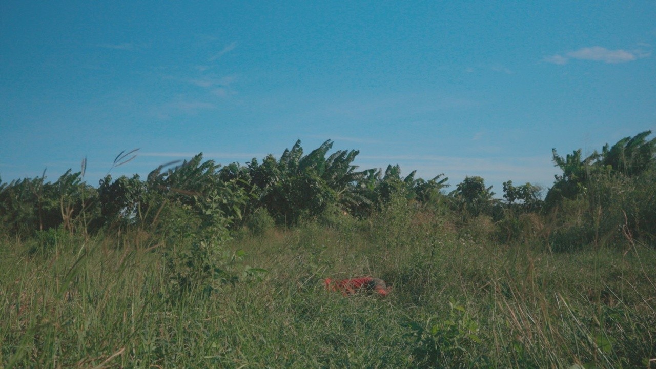 A bike, a Plane and a Cart