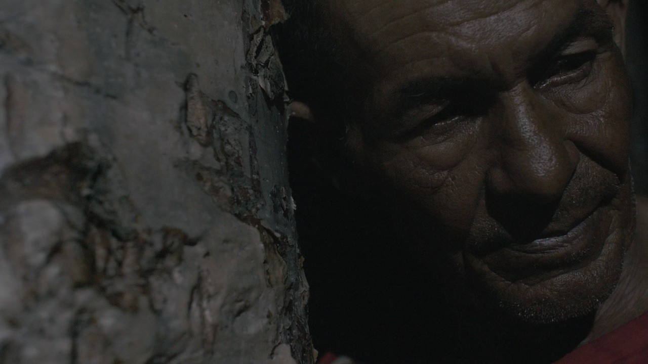 And the Storm Dreamed of Horses