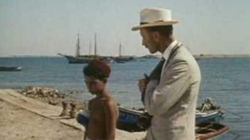 Ali and the Camel