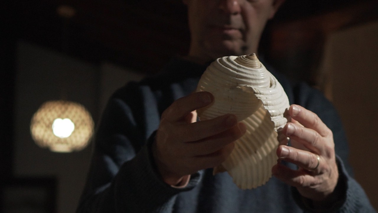 Benjamin: The Man Who Loved Shells (2025) | MUBI