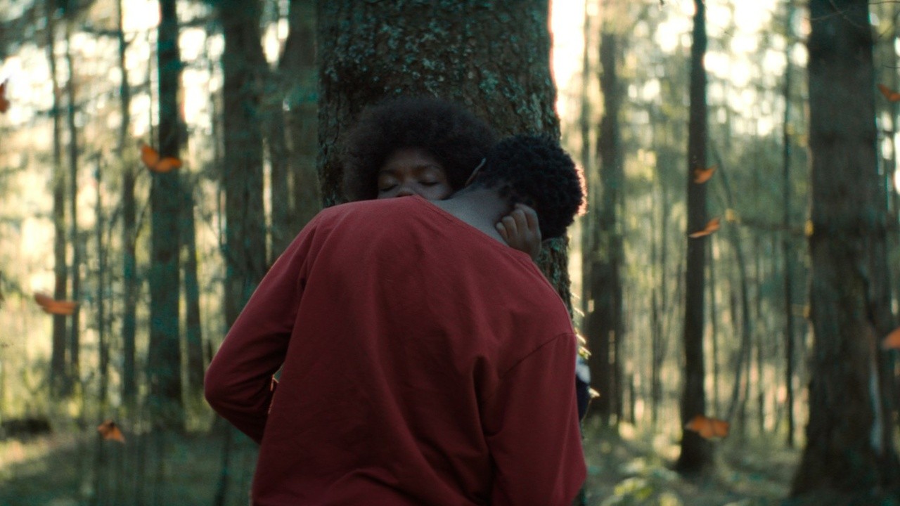 Image du film The Garden We Dreamed