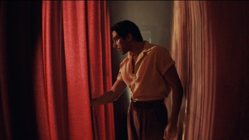 Narciso
