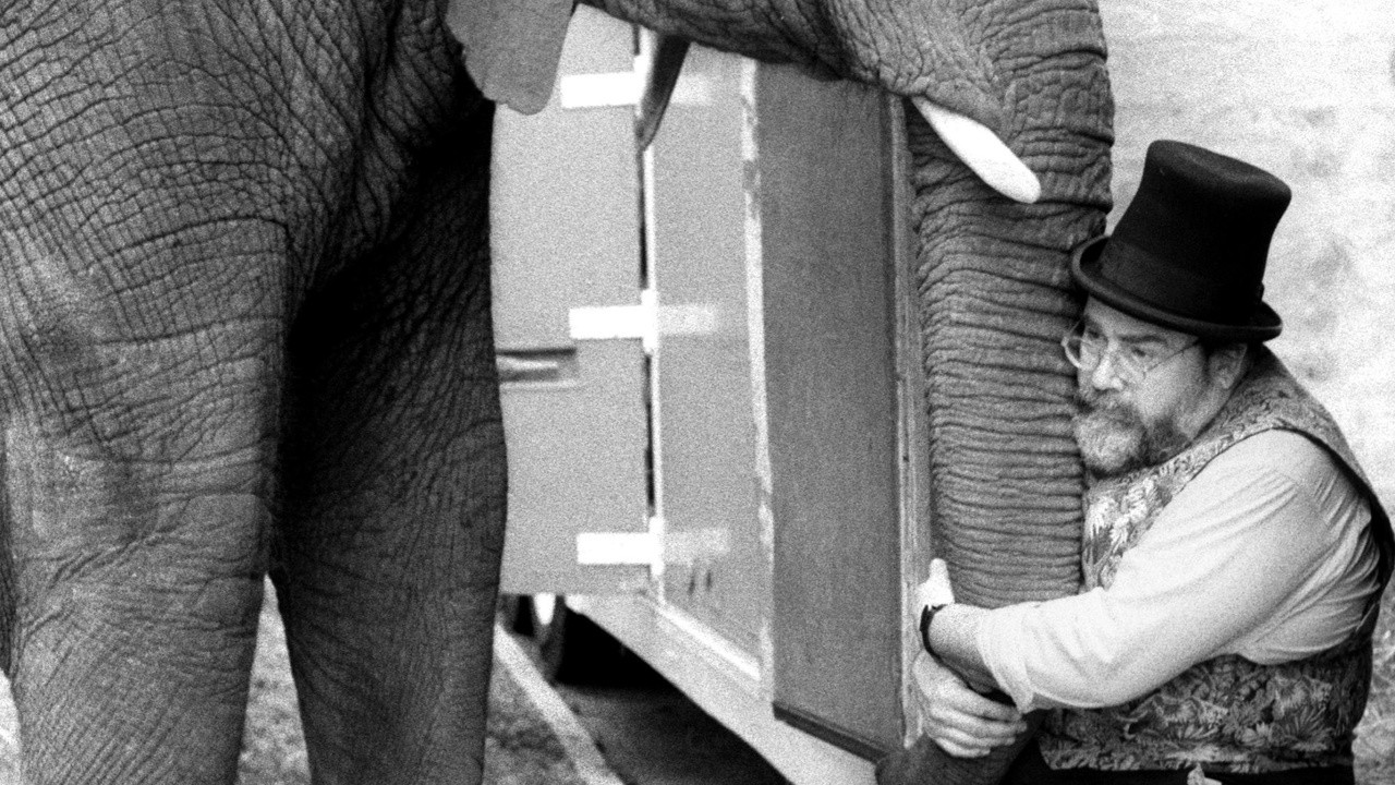 One Lucky Elephant