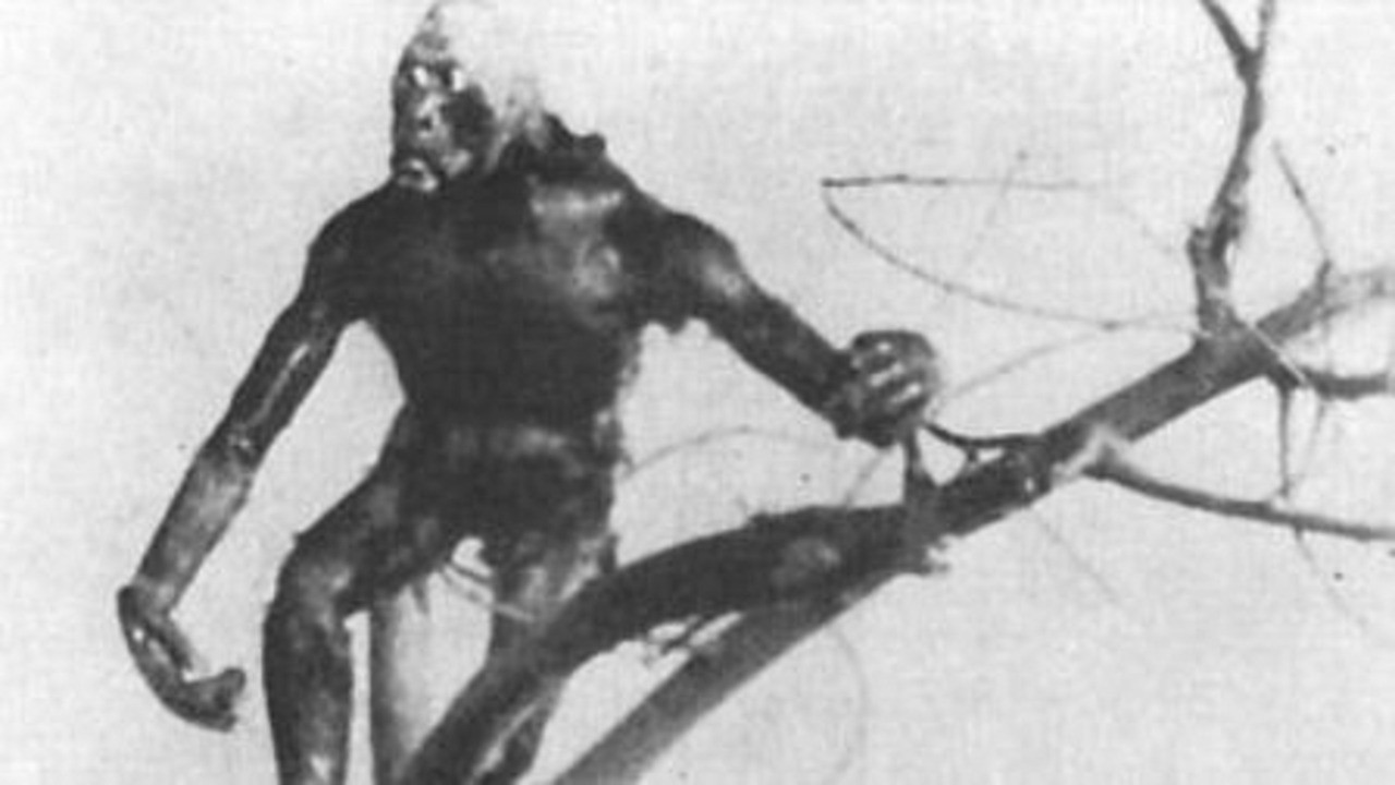 The Dinosaur and the Missing Link: A Prehistoric Tragedy