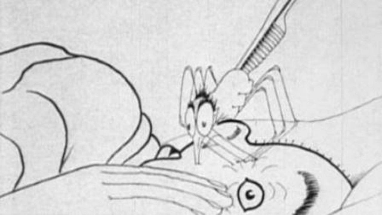 How a Mosquito Operates
