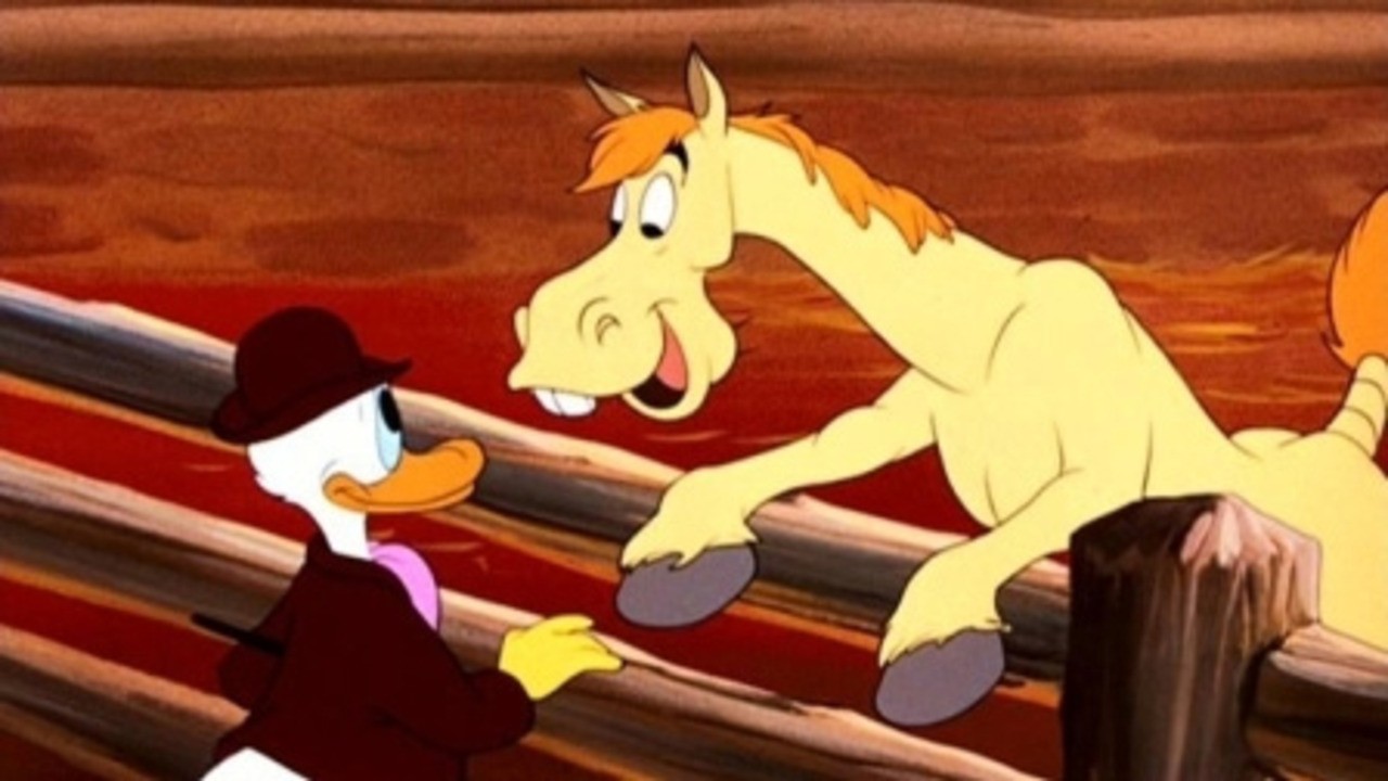 Dude Duck