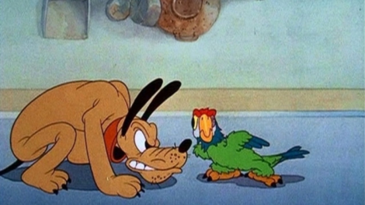 Le perroquet de Mickey