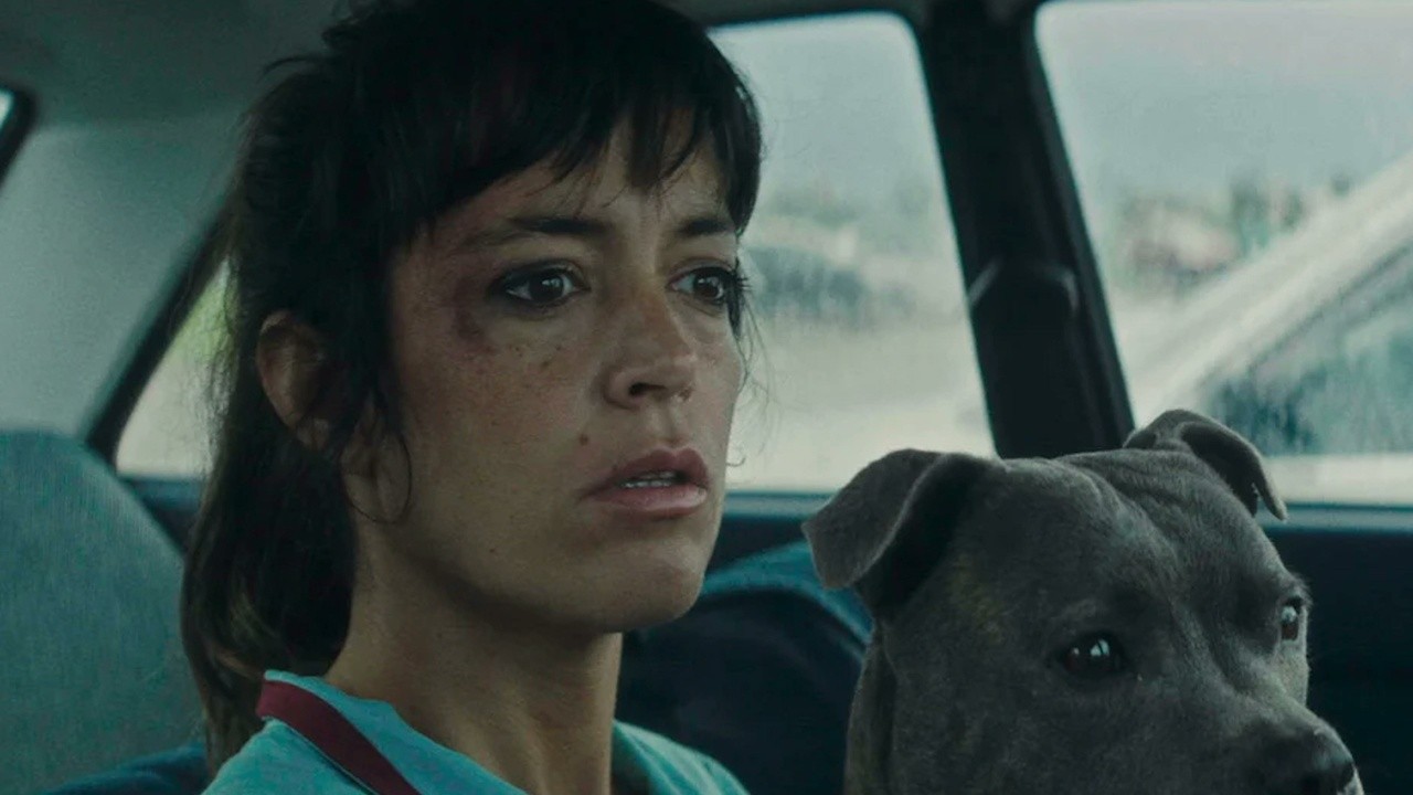 Image du film Sauvons les meubles