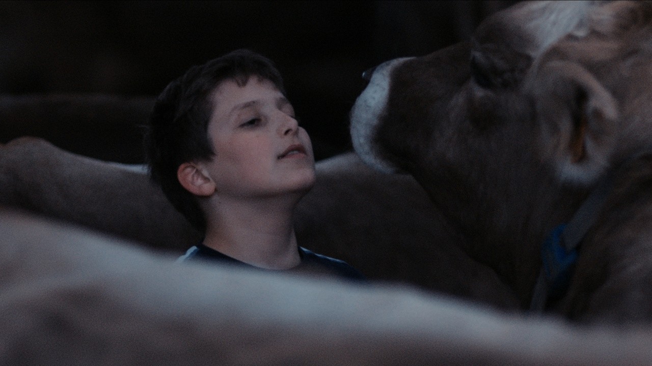 Image du film Gabin