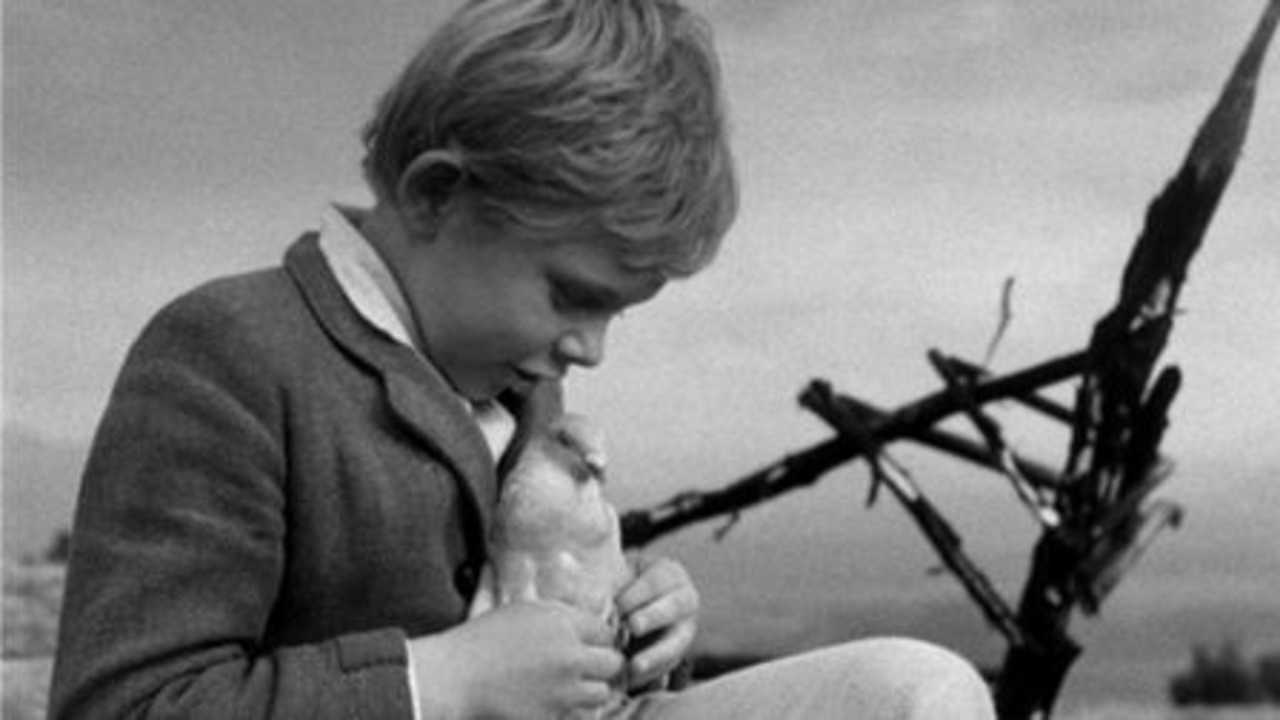 The Song of the Grey Pigeon