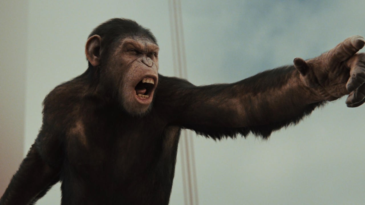 Image du film La planète des singes : Les origines