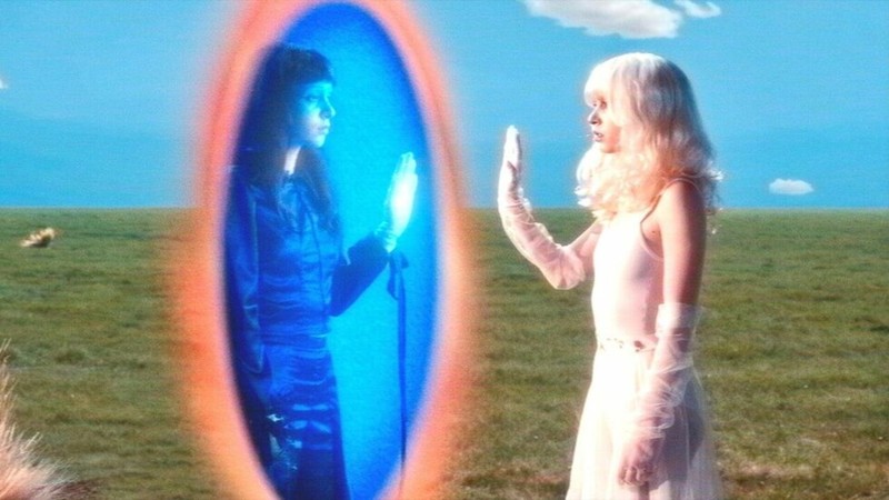 Imaginal Disk