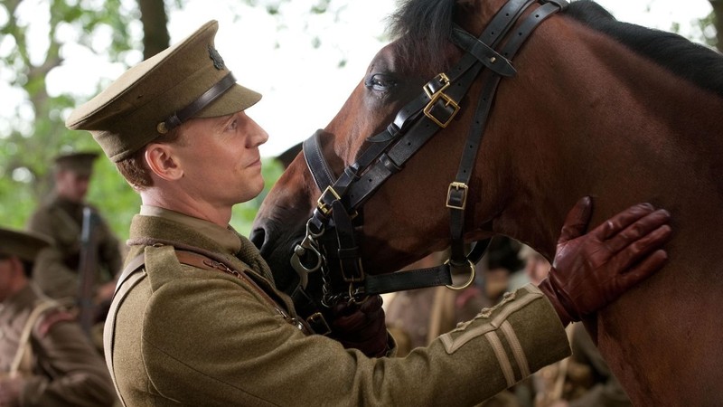 War Horse