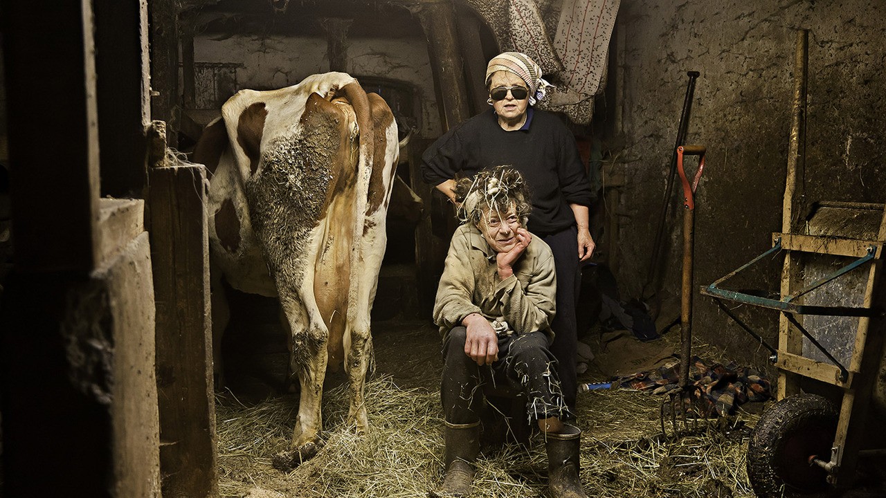 Women with Cows