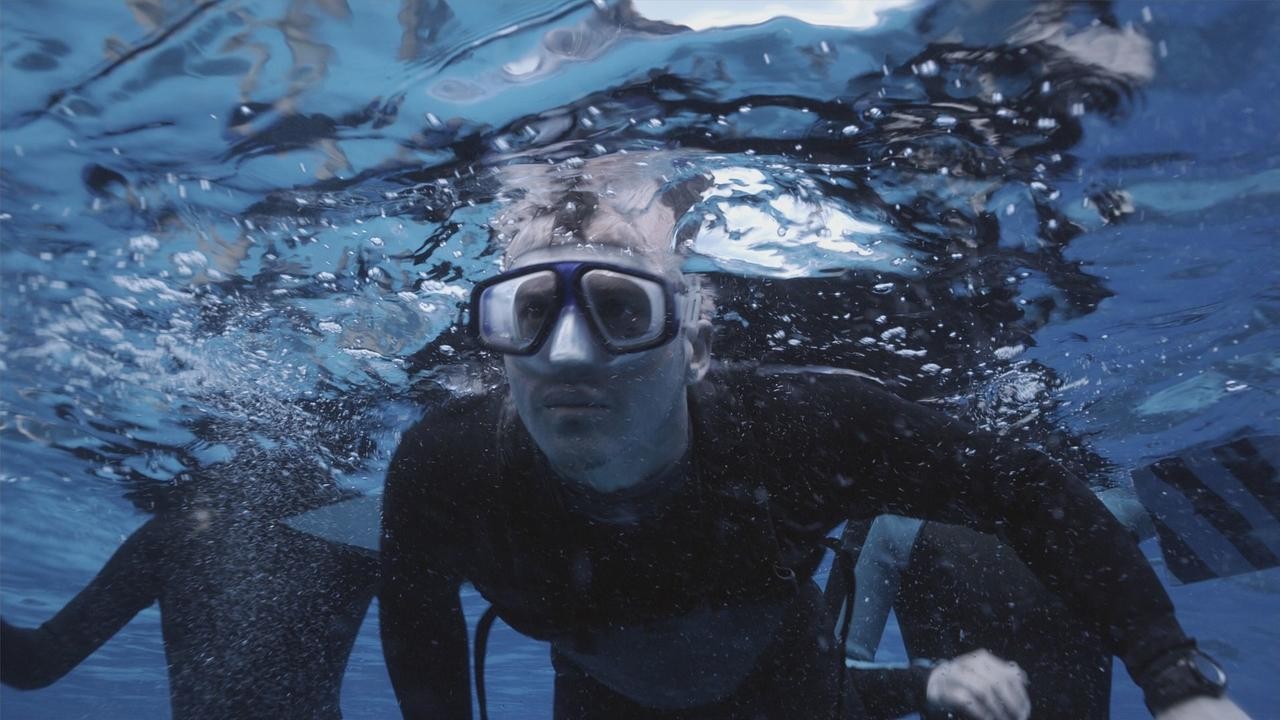 The Reef - Schwimm um dein Leben