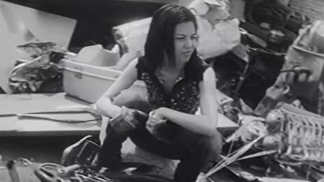 Yen Town Band: Swallowtail Butterfly -Ai no Uta- [MV] (1996) | MUBI