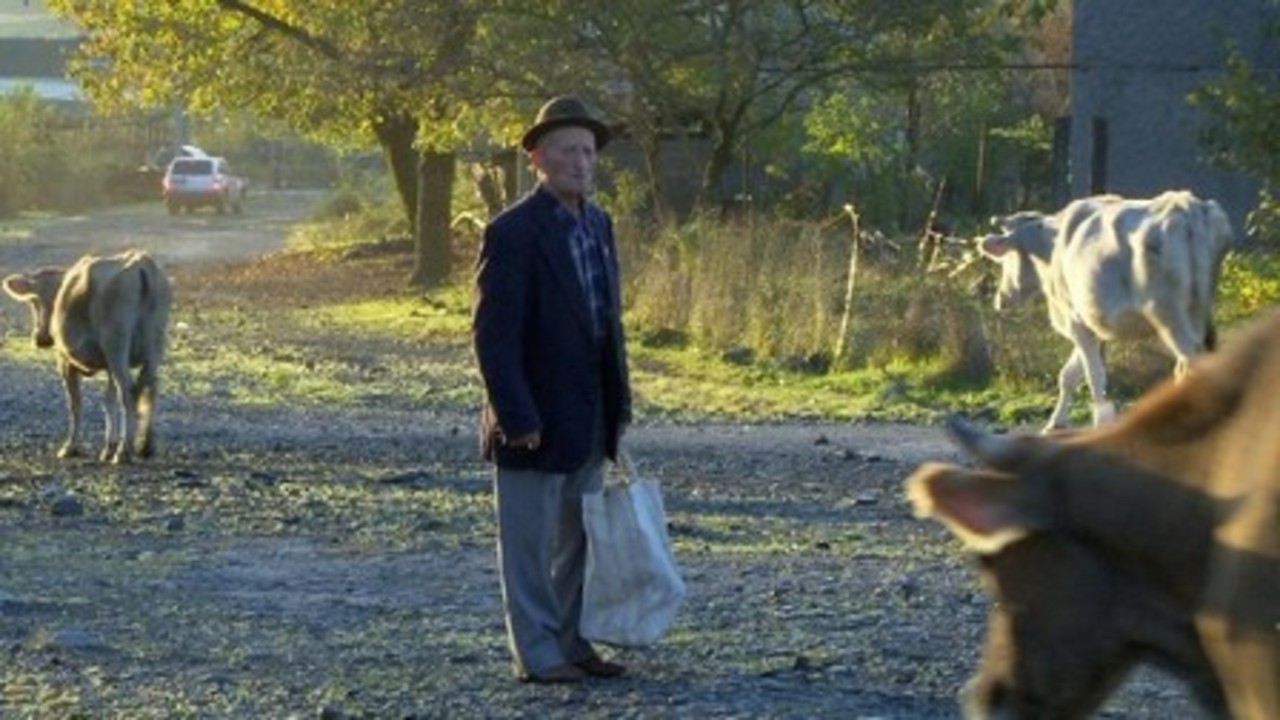 Image du film Ramin