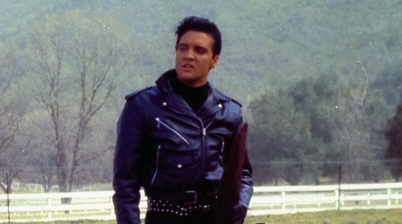 Roustabout (1964) MUBI