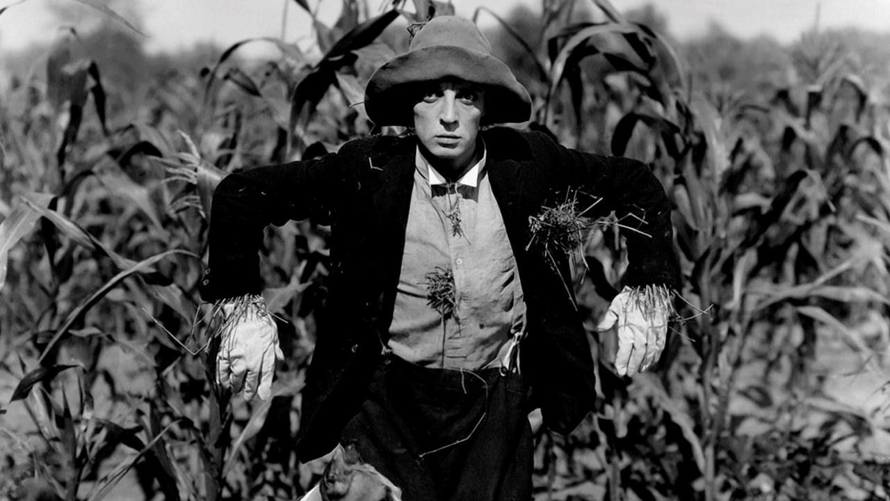 Image du film L'Epouvantail