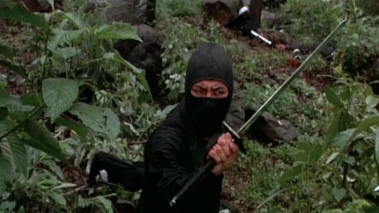 Nine Deaths of the Ninja