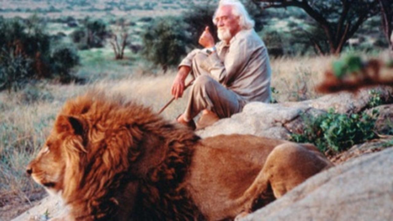 To Walk with Lions