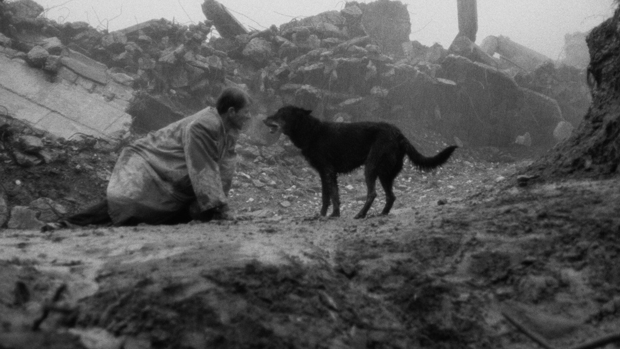 Image du film Damnation