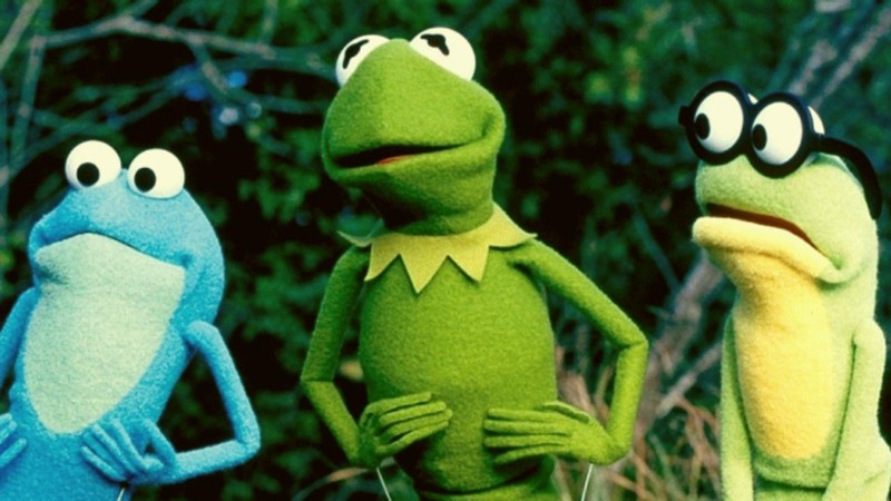 Kermit's Swamp Years
