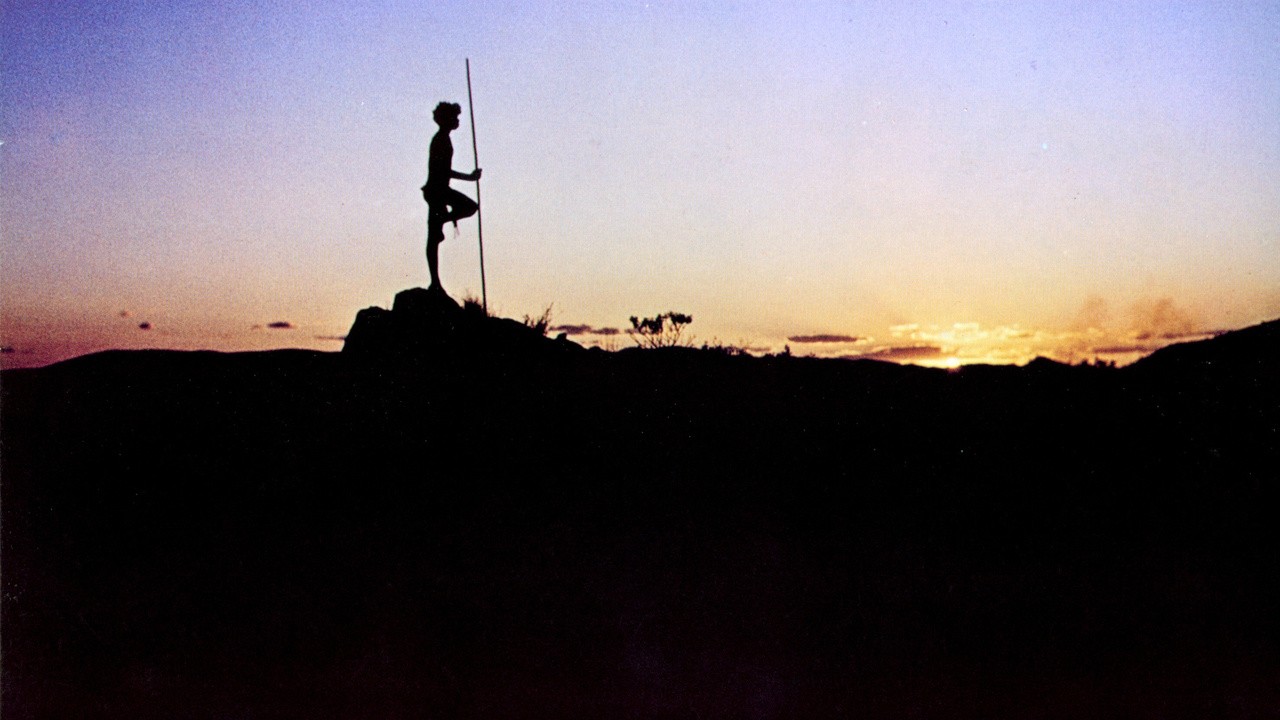 Image du film La Randonnée