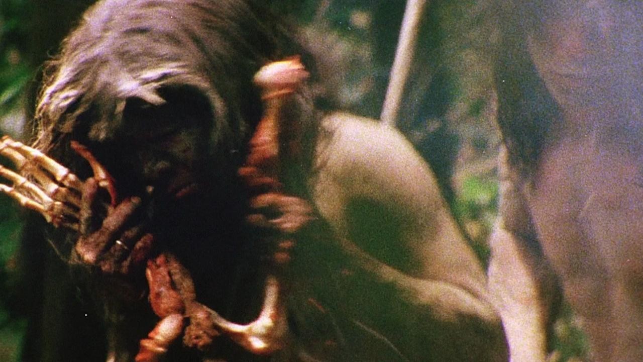 Cannibal holocaust