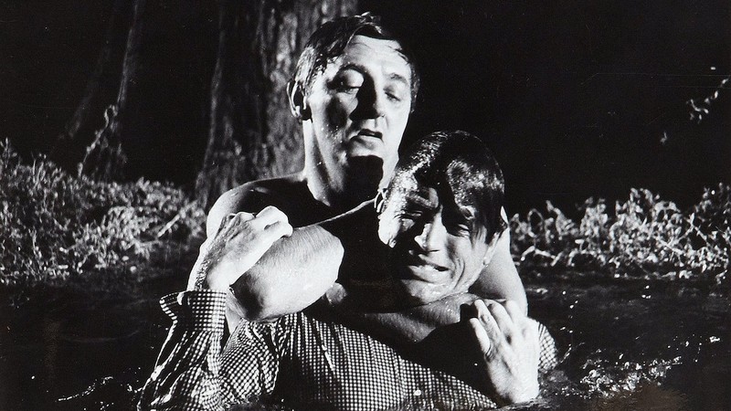 Cape Fear