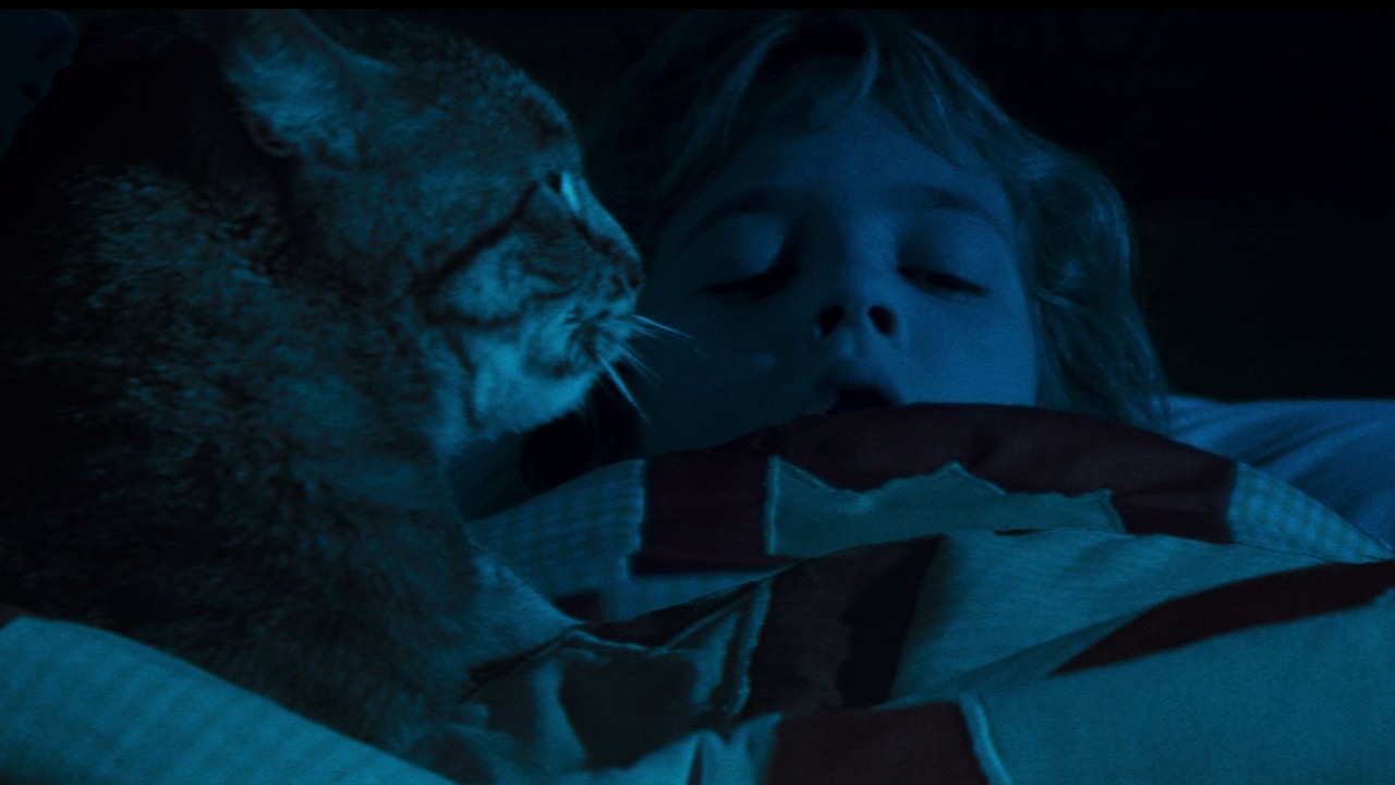 Image du film Cat's Eye