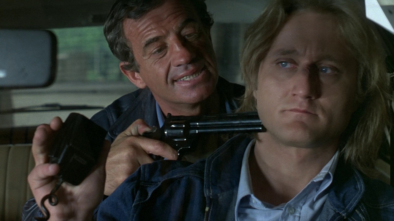 Image du film Le professionnel
