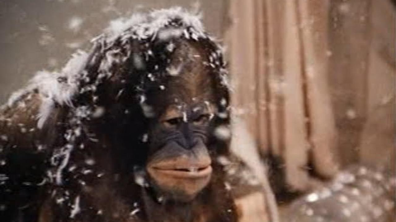 Going Ape!