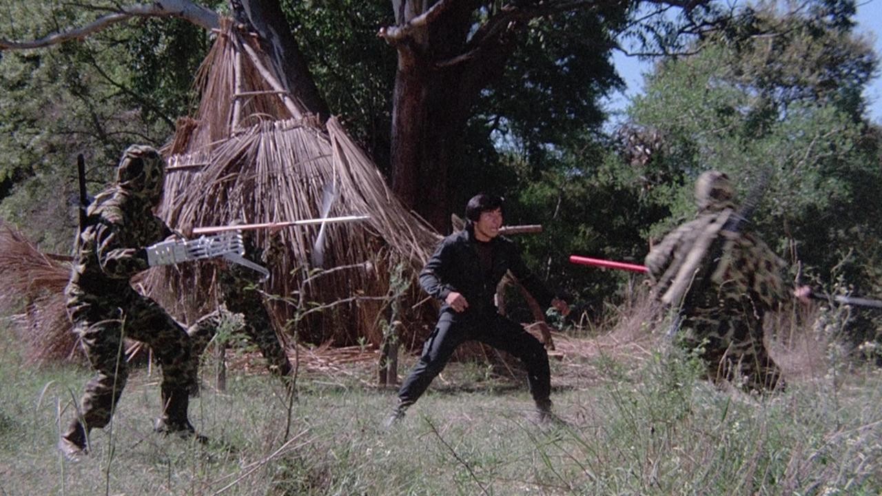 Image du film Pour l'honneur de sa race