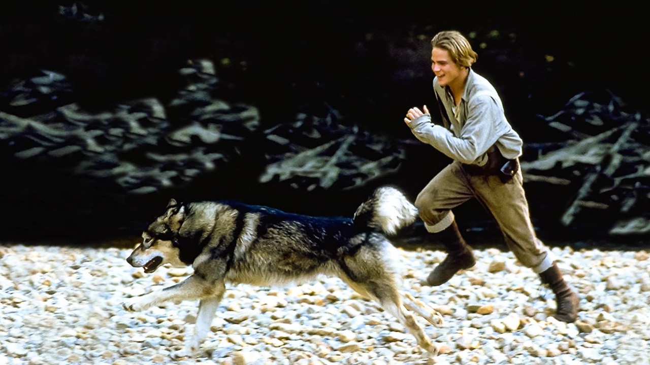 Image du film Les nouvelles aventures de Croc-Blanc : Le mythe du loup
