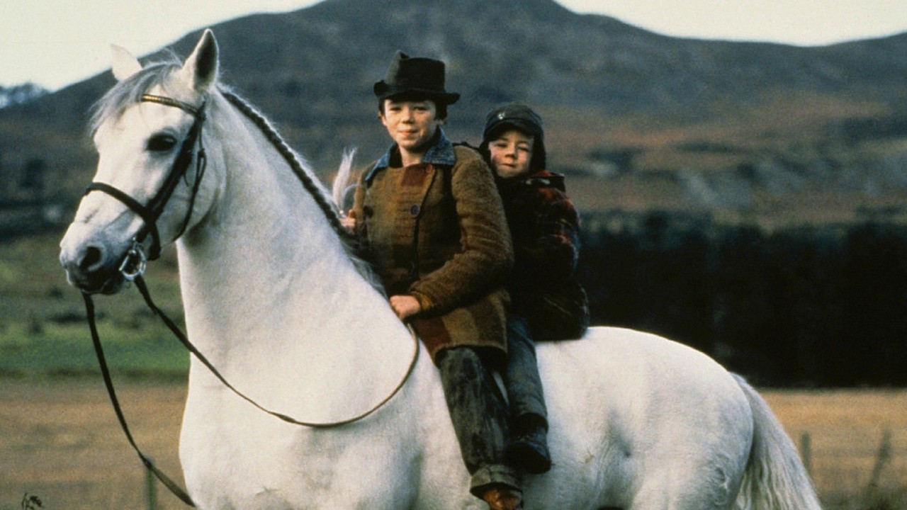 Image du film Le Cheval venu de la mer