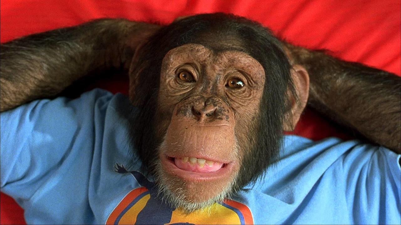MXP: Most Extreme Primate