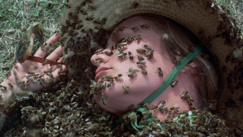 The Swarm (1978) | MUBI